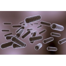 Jak se vyhnout legionelám: Ochrana, příčiny a správná opatření